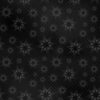ttJN-C2969 ANTHRACITE
